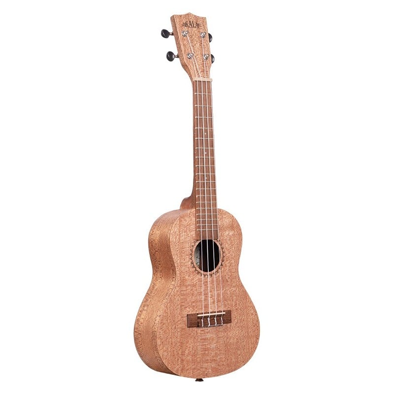 Burled Meranti, Tenor électro-acoustique
